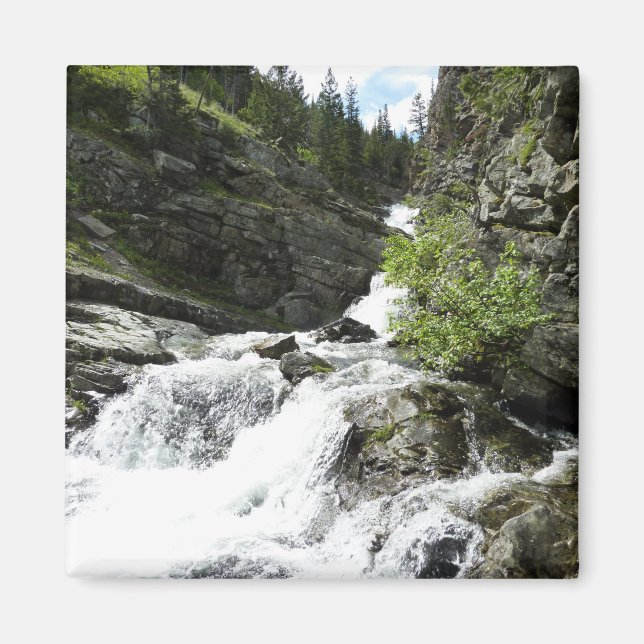 Aimant Aster Creek à Glacier National Park (Devant)