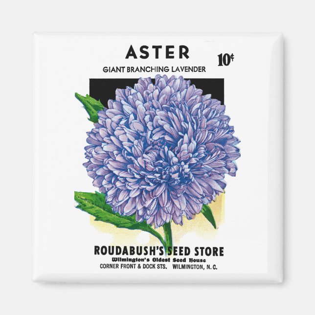 Aimant Aster Vintage Seed Packet (Devant)