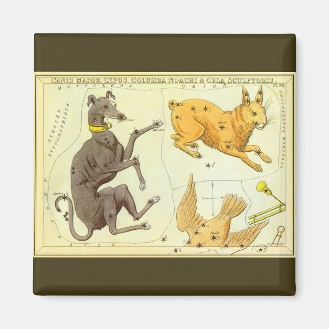 Aimant Astronomie Vintage, Carte Céleste du Ciel (Devant)