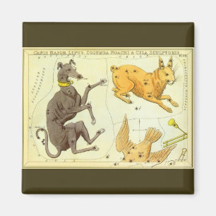 Aimant Astronomie vintage, Carte Céleste Graphique en éto