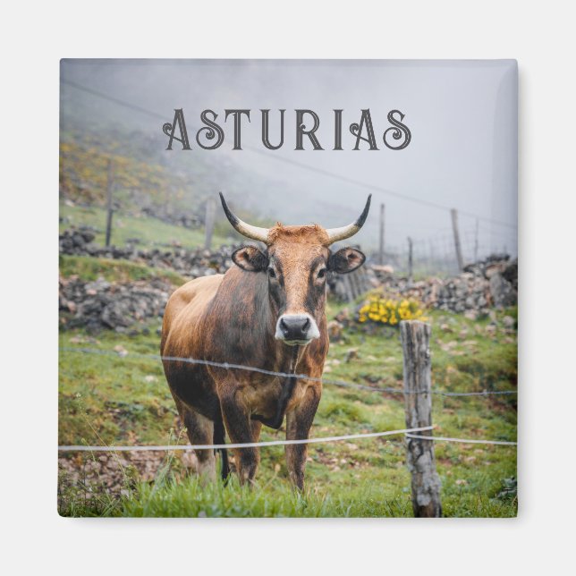Aimant Asturias Mountain Cow Travel (Devant)