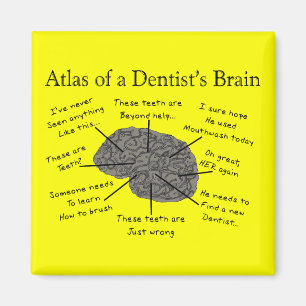 Aimant Atlas du cerveau d'un dentiste
