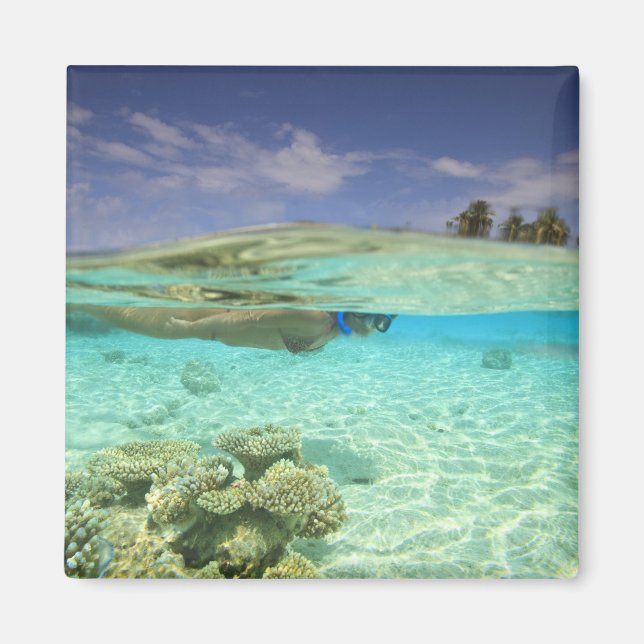 Aimant Atoll South Huvadhoo, Maldives du Sud, Indien (Devant)