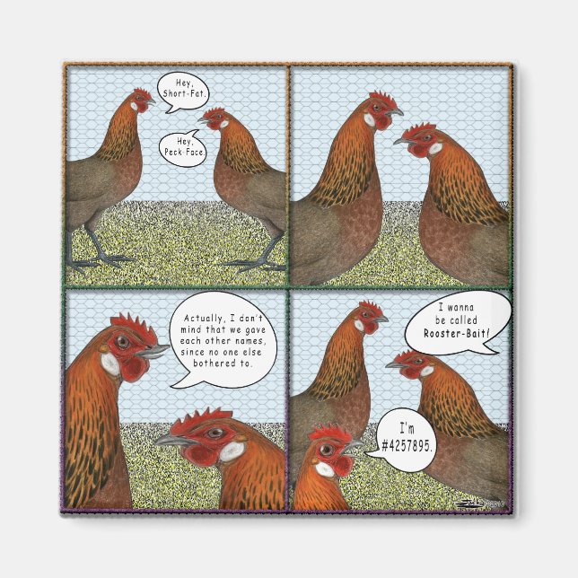 Aimant Attaque de coq (Devant)