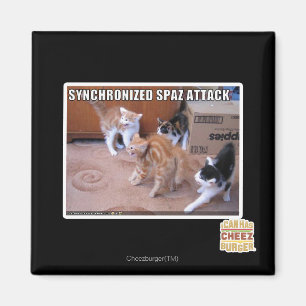 Aimant Attaque Spaz Sychronisée