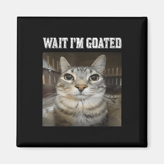 Aimant Attends, Je Suis Chat Humour Mème (Devant)