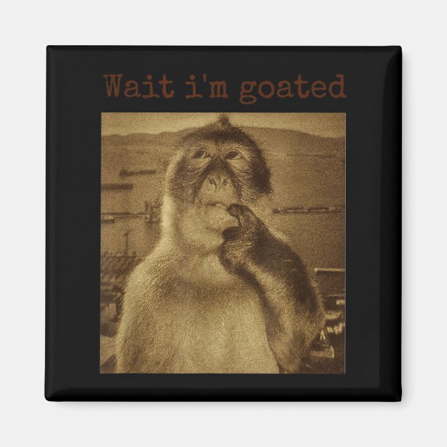 Aimant Attends Je Suis Divin Blague Singe Qui Pense Mème  (Devant)