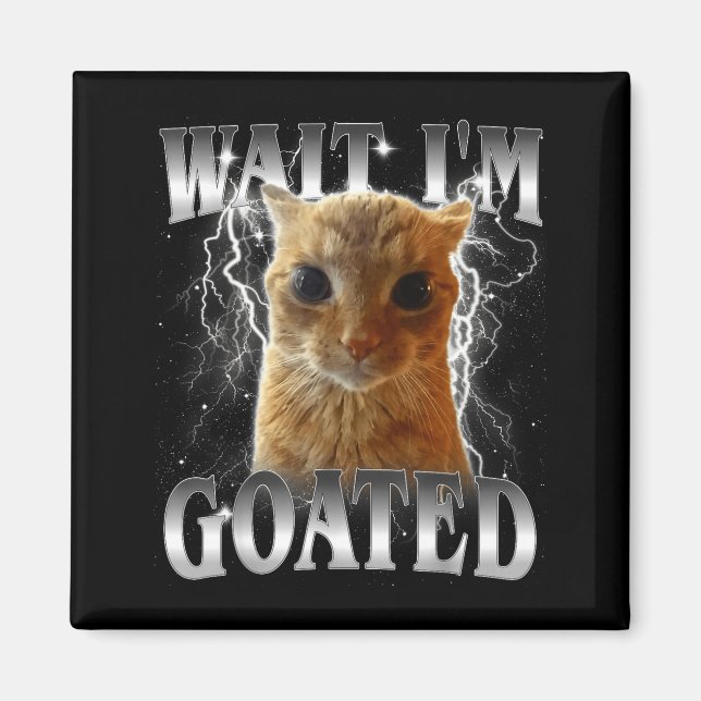 Aimant Attends je suis goaté mème drôle de chat qui fixe  (Devant)