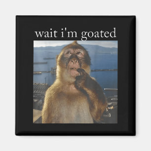 Aimant Attends je suis Goated Drôle Singe qui Pense Mème