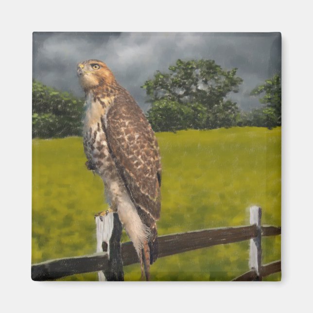 Aimant Attente de la tempête - Red tail Hawk (Devant)