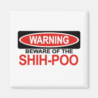 Aimant Attention Au Shih-Poo