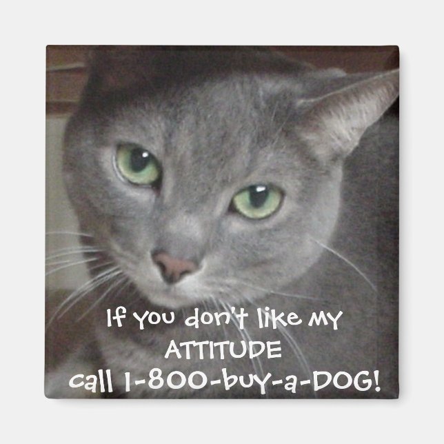 Aimant Attitude d'humour chat gris bleu russe (Devant)