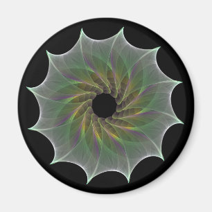 Aimant attraction chaotique