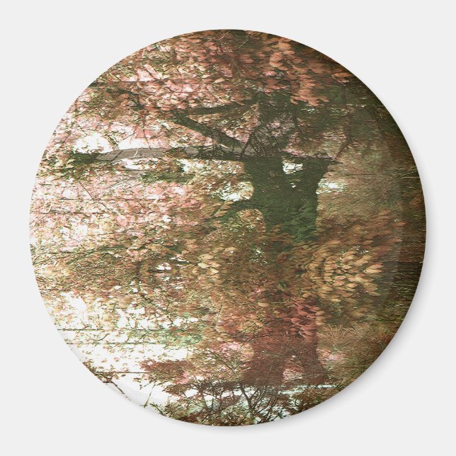 Aimant Au fond de la forêt... (Devant)