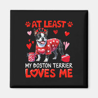 Au moins mon terrier de Boston m'aimant la Saint-V