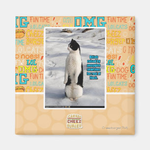 Aimant Augmenté par des pingouins