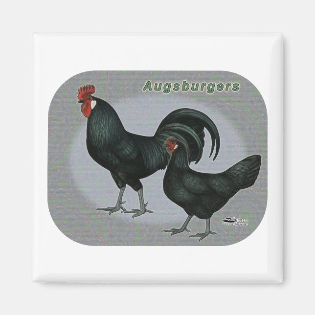 Aimant Augsburger Fowl (Devant)