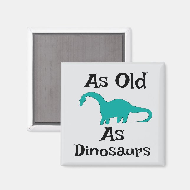 Aimant aussi vieux que les dinosaures (Recto/Verso)
