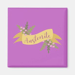 Aimant Austenite I