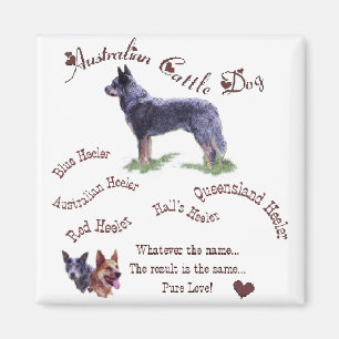 Aimant Australian Cattle Dog Art Gifts
