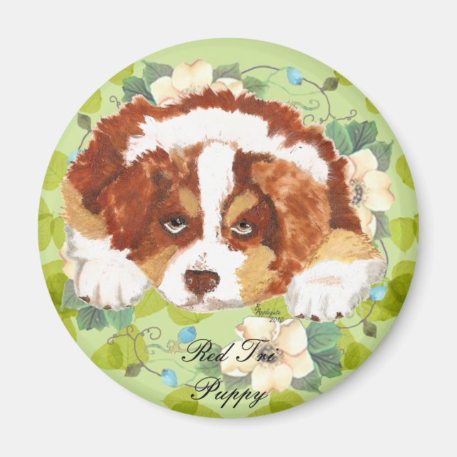 Aimant Australian Shepherd Red Tri Puppy ~ Feuilles verts (Devant)