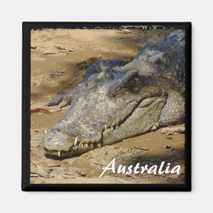 Aimant Australie, Crocodile, Bush (aimant)
