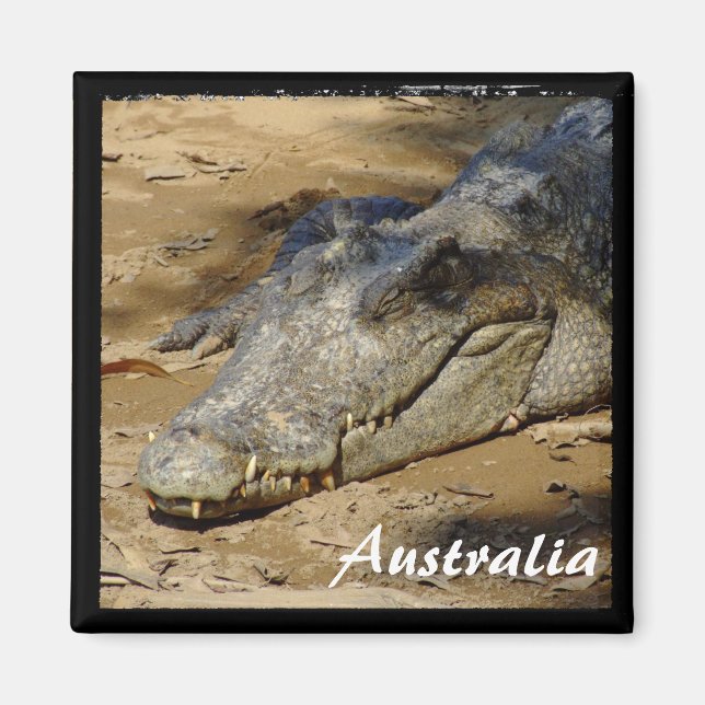 Aimant Australie, Crocodile, Bush (aimant) (Devant)