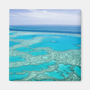 Aimant Australie, Queensland, côte de Whitsunday, Grand 3