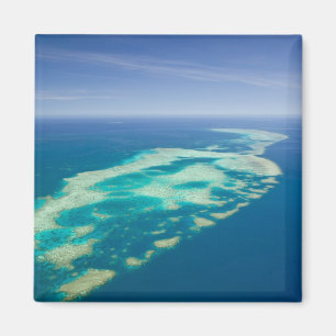 Aimant Australie, Queensland, Côte Nord, Cairns 2