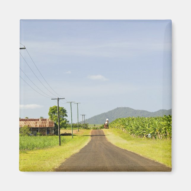 Aimant Australie, Queensland, North Coast, Babinda. (Devant)
