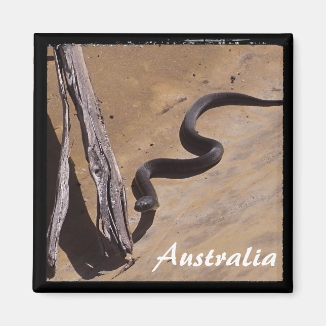 Aimant Australie - Serpent Brown, nature sauvage (aimant) (Devant)