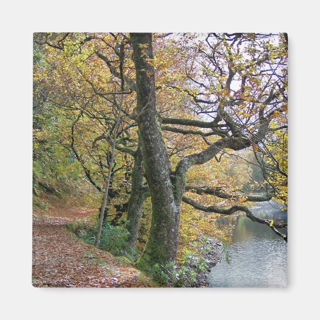 AIMANT AUTOMNE (Devant)