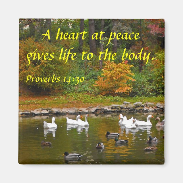 Aimant Automne à l'étang de canard (Devant)