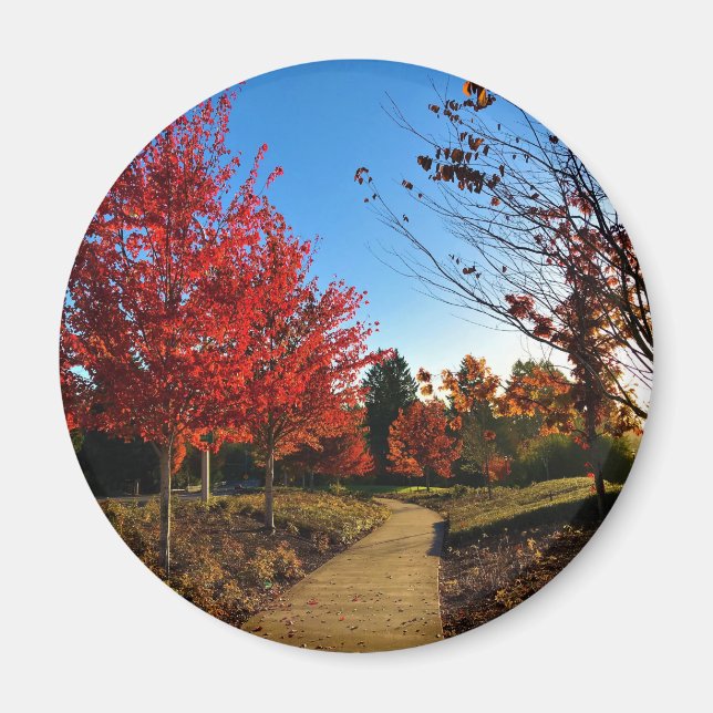 Aimant Automne dans le parc, Oregon (Devant)
