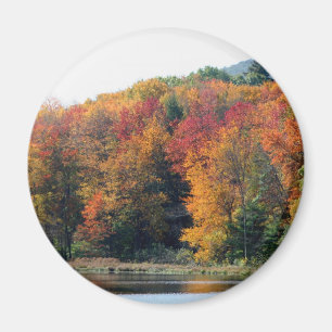 Aimant Automne Foliage Pond Nature Photographie
