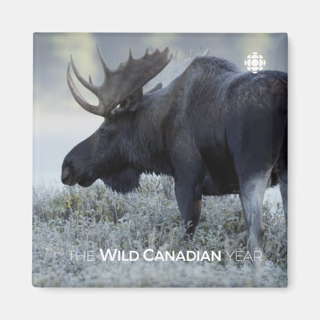 Aimant Automne - Moose (Devant)