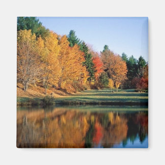 Aimant Automne Paisible Dans Le Vermont