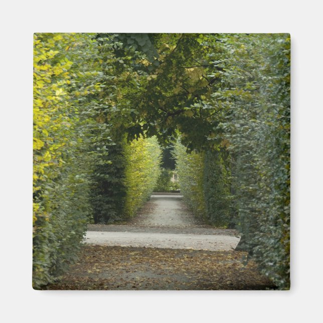 Aimant Autriche, Vienne. Baroque de Marie-Thérèse 2 (Devant)
