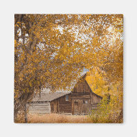 Autumn at Mormon Row