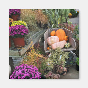 Aimant Autumn Decor