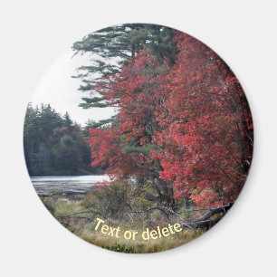 Aimant Autumn Foliage Pond Nature Photographie