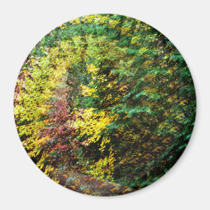 Aimant Autumn Whirlwind.......