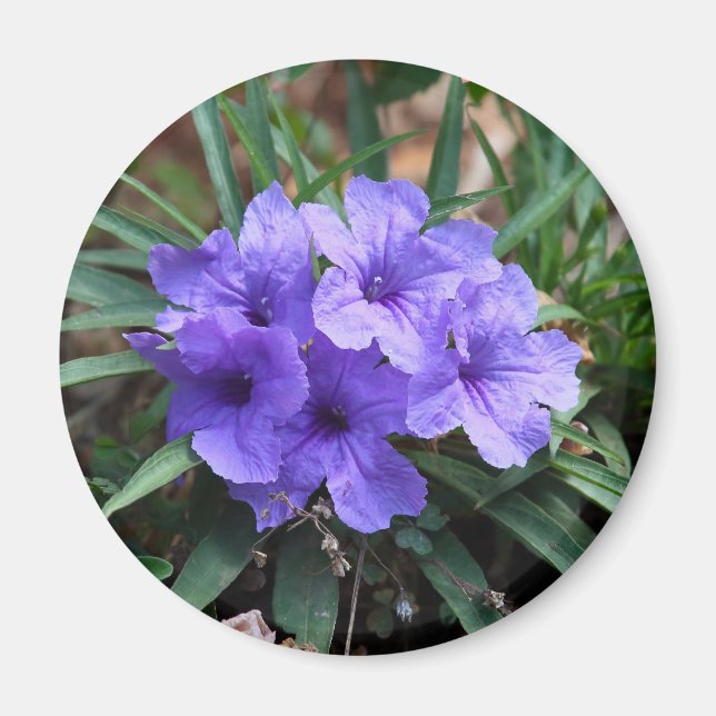 Aimant aux fleurs violettes (Devant)