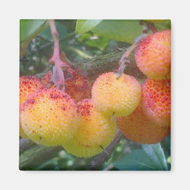 Aimant aux fruits de fraise (Devant)