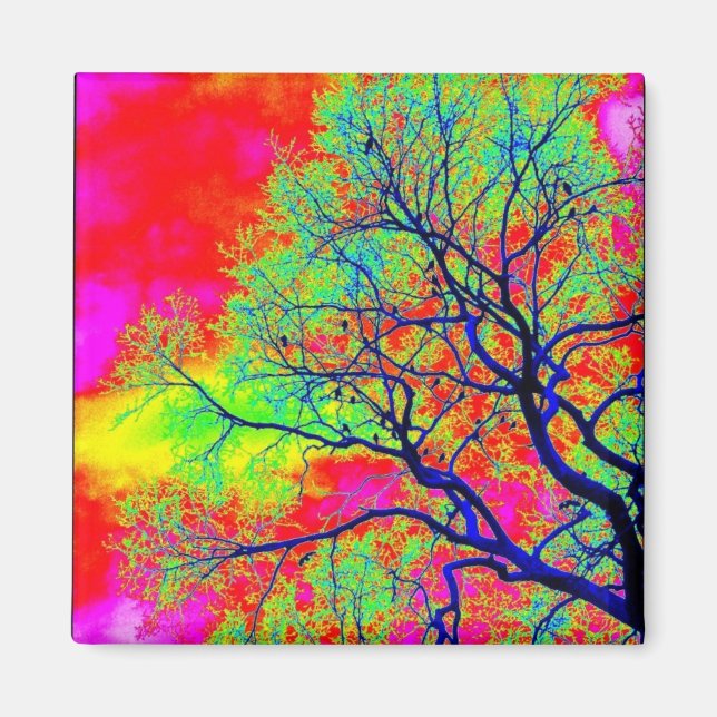 Aimant aux oiseaux (Devant)