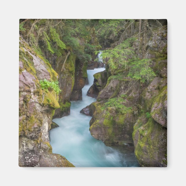 Aimant Avalanche Creek, parc national de Glacier, Montana (Devant)