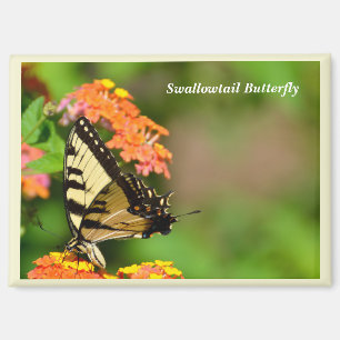 Aimant Avaler papillon à l'aimant des fleurs du jardin