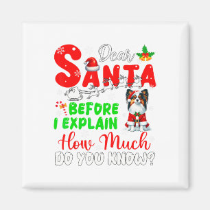 Aimant Avant D'Expliquer Combien Vous Connaissez Xmas Pap