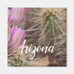 Aimant Avant les fleurs, Arizona