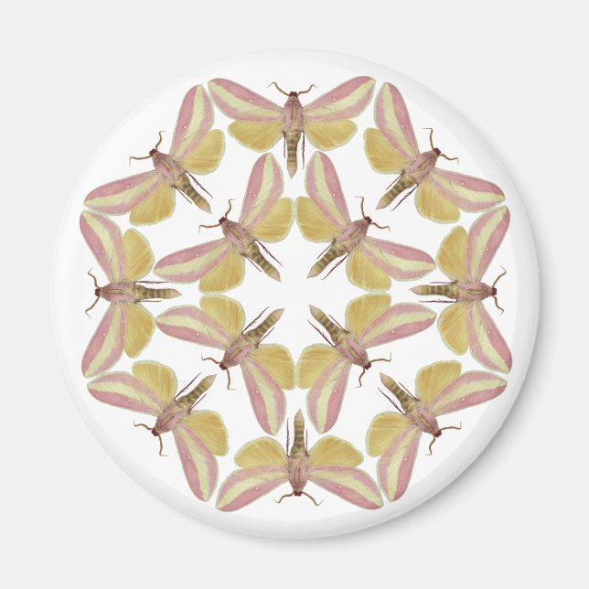 Aimant avec de beaux papillons (Devant)